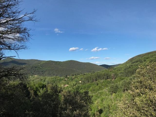 Apartamento Gite Des 3 Vallees - Le Soleil Des Cevennes Saint-Jean-du-Gard Exterior foto